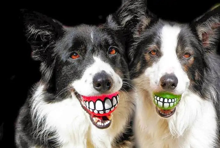 Funny Teeth Ball for HumorGiglz