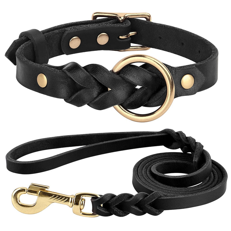 Dog Collar and Leash Set