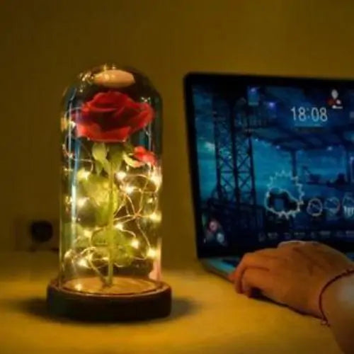 Beauty and Beast Enchanted Rose Lamp