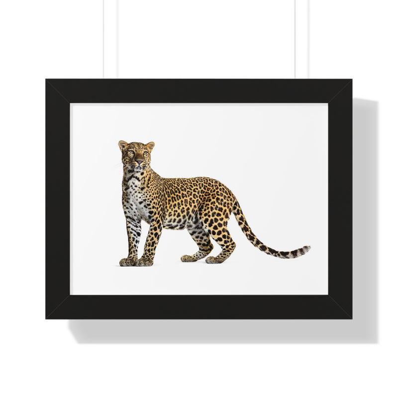 Leopard Framed Horizontal Poster, Wildlife Wall Art, Home Decor, Unique Gift, Animal Lover Decor, Nature Inspired
