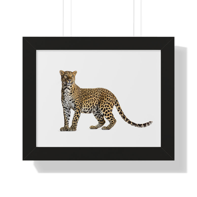 Leopard Framed Horizontal Poster, Wildlife Wall Art, Home Decor, Unique Gift, Animal Lover Decor, Nature Inspired