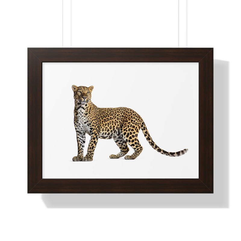 Leopard Framed Horizontal Poster, Wildlife Wall Art, Home Decor, Unique Gift, Animal Lover Decor, Nature Inspired