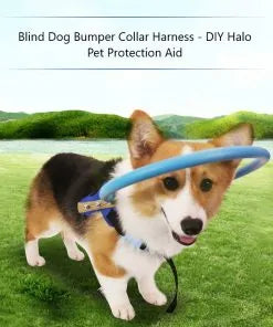 Blind Dog Bumper Collar Harness