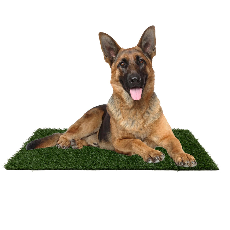 Set of 3 Reusable Pee Pads for Dogs - 35.5x23.5in Replacement Artificial Dog Grass - Dog Housebreaking Supplies for Puppy Training by PETMAKER