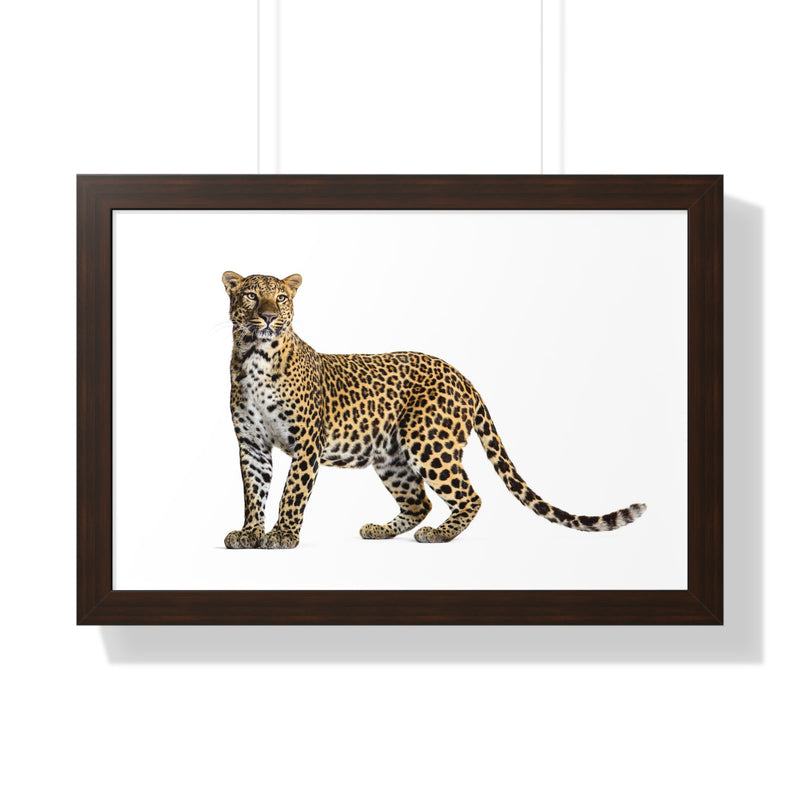 Leopard Framed Horizontal Poster, Wildlife Wall Art, Home Decor, Unique Gift, Animal Lover Decor, Nature Inspired