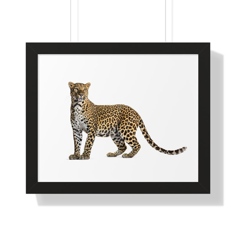 Leopard Framed Horizontal Poster, Wildlife Wall Art, Home Decor, Unique Gift, Animal Lover Decor, Nature Inspired