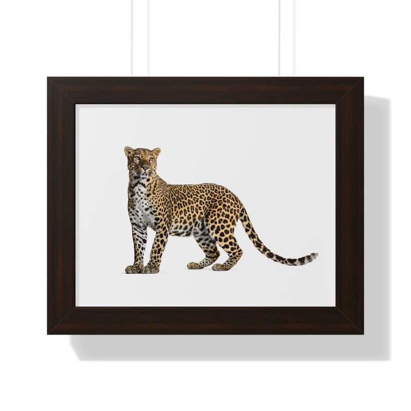 Leopard Framed Horizontal Poster, Wildlife Wall Art, Home Decor, Unique Gift, Animal Lover Decor, Nature Inspired