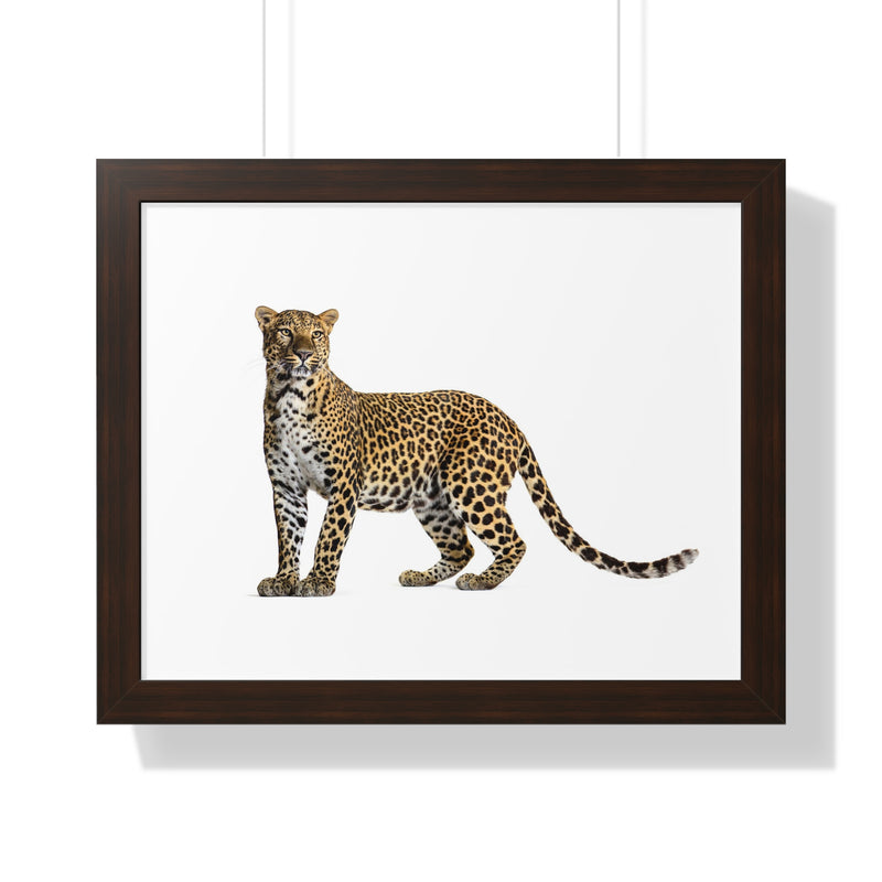 Leopard Framed Horizontal Poster, Wildlife Wall Art, Home Decor, Unique Gift, Animal Lover Decor, Nature Inspired