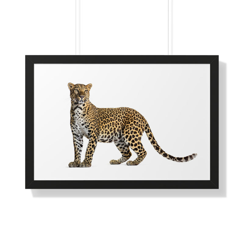 Leopard Framed Horizontal Poster, Wildlife Wall Art, Home Decor, Unique Gift, Animal Lover Decor, Nature Inspired