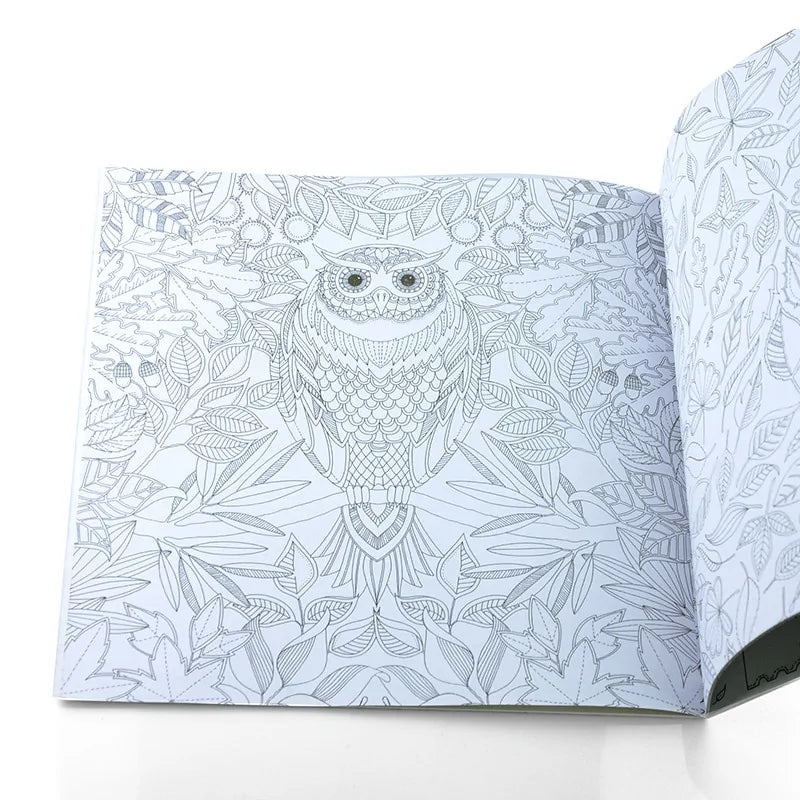 24 Pages Coloring Book