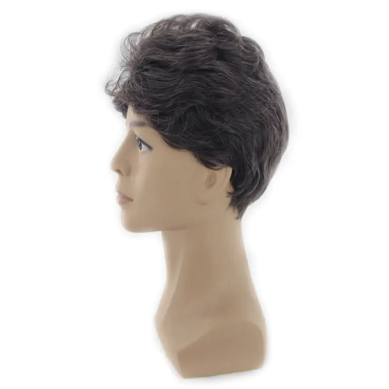 Fluffy Short Curly Wig for Middle-aged Men