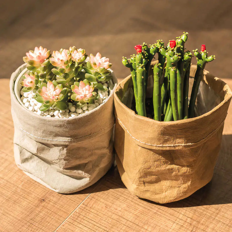 Kraft Planter Set of 2