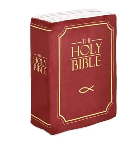 Bible Pillow