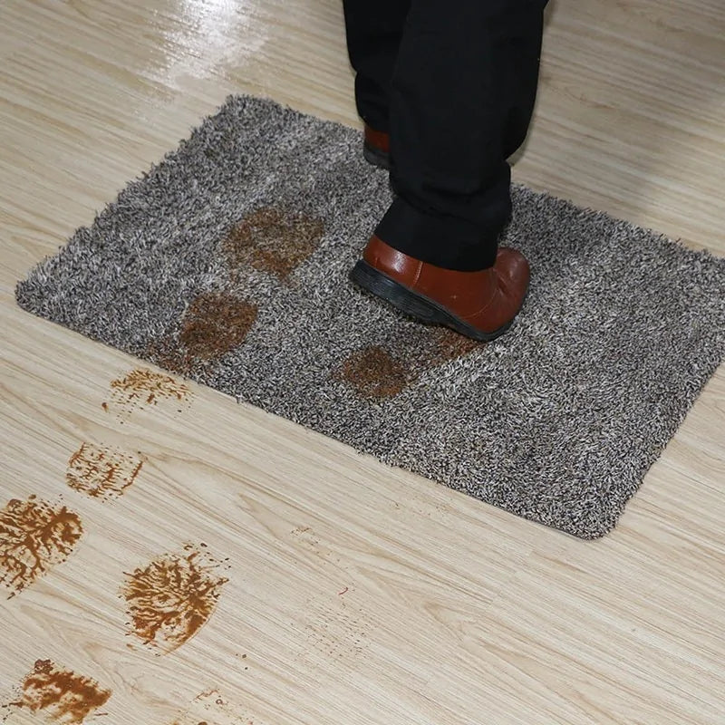 Absorbing Door Mat