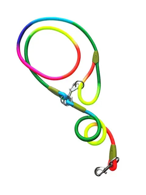 Reflective Nylon Leashes For Pet