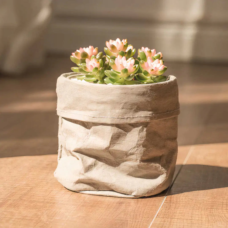 Kraft Planter Set of 2