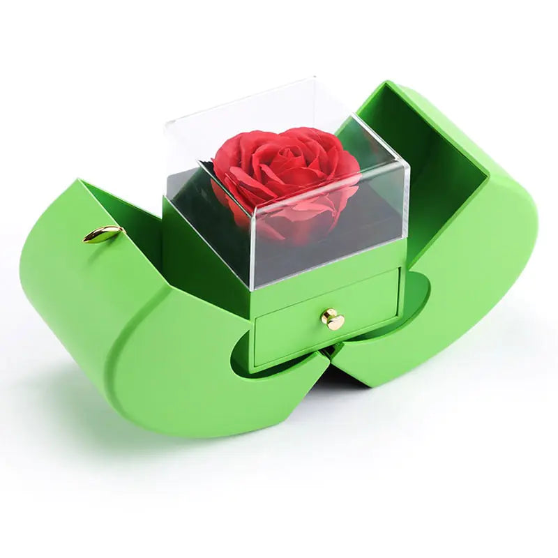 Apple Jewelry Gift Box