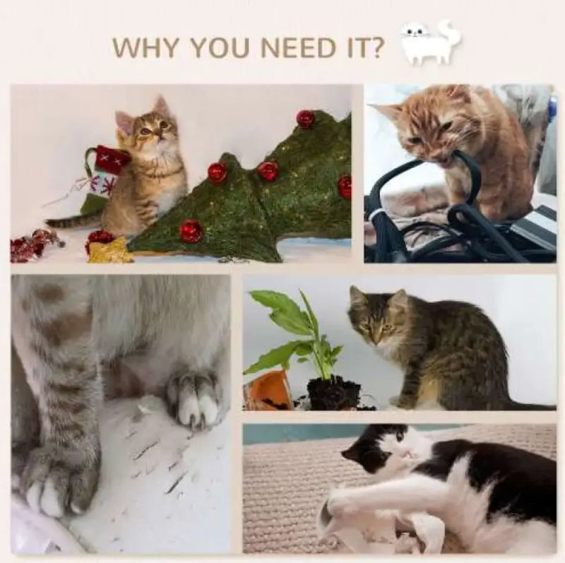 Cat Wall Shelves Set Furniture