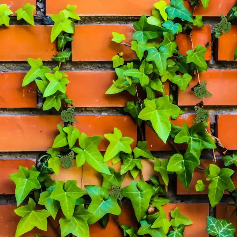 Plant Clips Self-Adhesive Hooks