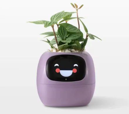 Smart Planter with AI Sensors and Rich Expressions