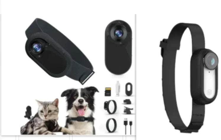 Paw Cam Wireless Pet Collar