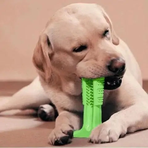 Meat-Flavored Dog Toothbrush