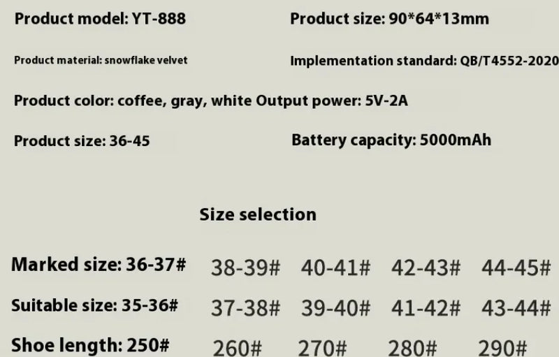 Electric Heating Shoes