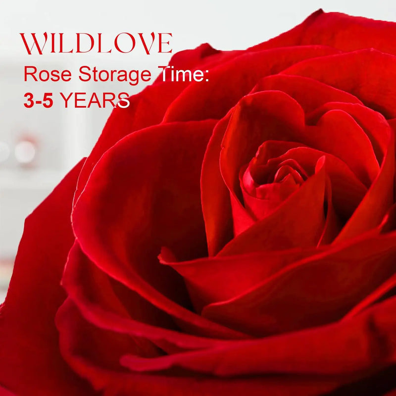 WILDLOVE Preserved Real Rose with I Love You Necklace, Christmas Gifts for Women, Mom, Grandma, Wife and Girlfriend, Birthday Anniversary Valentine&