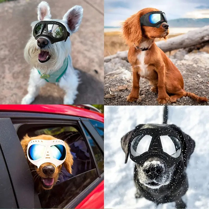 Dog Sunglass Windproof Summer Goggles Protection