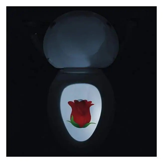 Motion Sensored Toilet Seat LED Picture Light