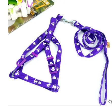 Paw Print Small Dog Harness