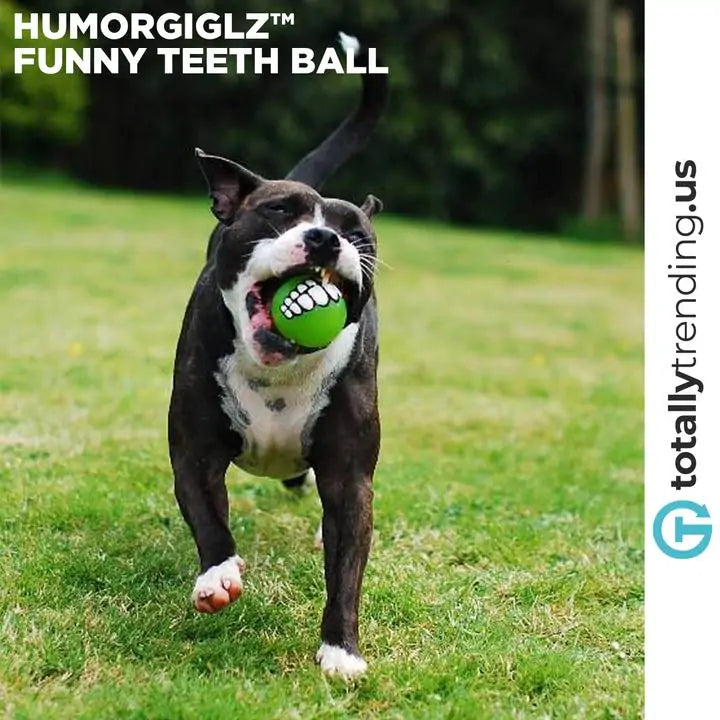 Funny Teeth Ball for HumorGiglz