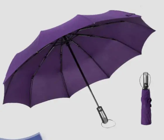 Folding Automatic Umbrella